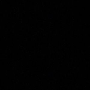 Meet your Posher, Carlo